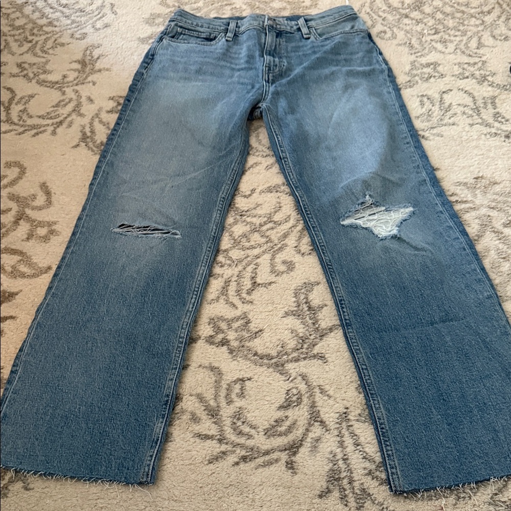 Hudson’s Light Blue Jeans Raw Hem NWT